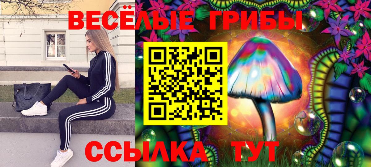 Галлюциногенные грибы мухоморы  купить   Вход с VPN  Выкса  Псилоцибиновые грибы прущие грибы 